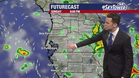 Tampa weather: Sunday night forecast