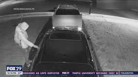 Pair of thieves sought after stealing cars and belongings in New Castle County