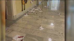 Illinois Representative Brad Schneider says office in DC was vandalized on July 4