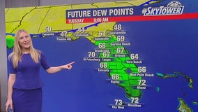 Tampa weather: Low humidity across Bay Area