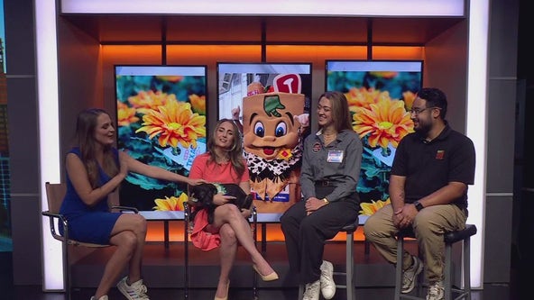 SoCo H-E-B's Bubbles, Brunch and Barks