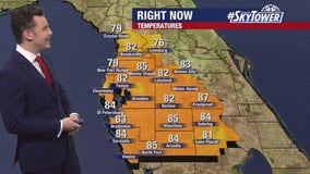 Tampa weather: Clear skies overnight