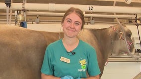 Celebrating dairy at the Wisconsin State Fair