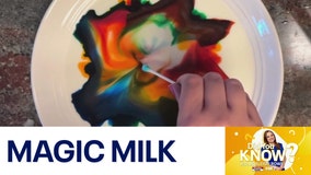 DYK: Magic milk experiment