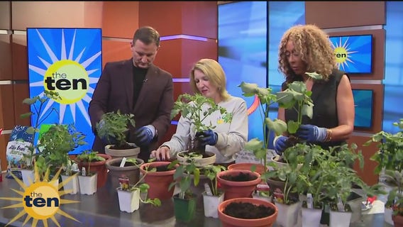 Dede, vegetable gardens & more | The Ten