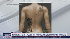 NJ State Police try to identify human remains found in Belleplain State Forest