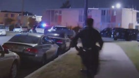 Alleged armed man fatally shot by police in SFV