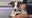 Puppy power on FOX 32: Meet adorable adoptables from PAWS Chicago