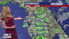 Tampa weather: Humid, hot Sunday