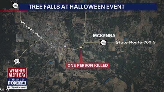 Deadly tree fall at Pierce County Halloween event kills 1, injures several