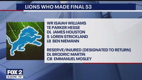 Lions who made the final cut