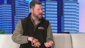 What to do if you see a snake in Georgia