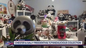 Chester & Sally Freedenthal's Pandalicious Collection