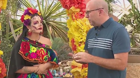 Performances at Dia de los Muertos