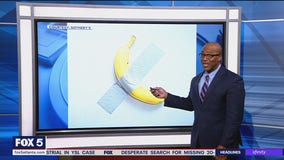 Famous duct-taped banana returning to auction