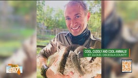St. Cloud's cutest: Baby animals at Amazing Animals Preserve