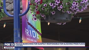 Downtown Poulsbo pride flags slashed, police looking for info