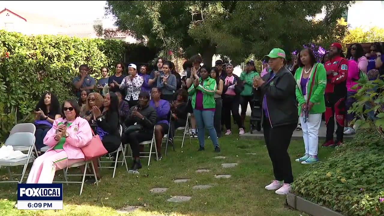 Alpha Kappa Alpha, A Safe Place host domestic violence awareness walk