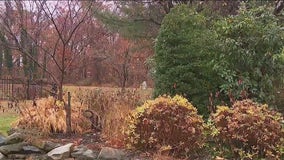 Experts warn of long term damage from NY drought