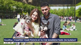 Klyde Warren Park hosts Bark in the Park event