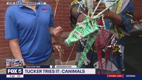 Zip Trip Eastern Market: Tucker Tries It