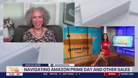 Navigating Amazon Prime Day and other sales