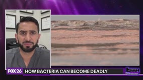 How bacteria can become deadly