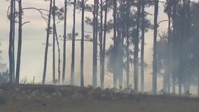 Florida prepares for wildfire season