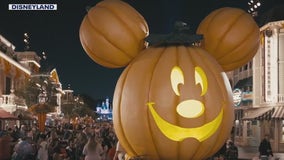 Halloweentime at Disneyland begins