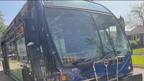 6 injured in Zion Pace bus crash