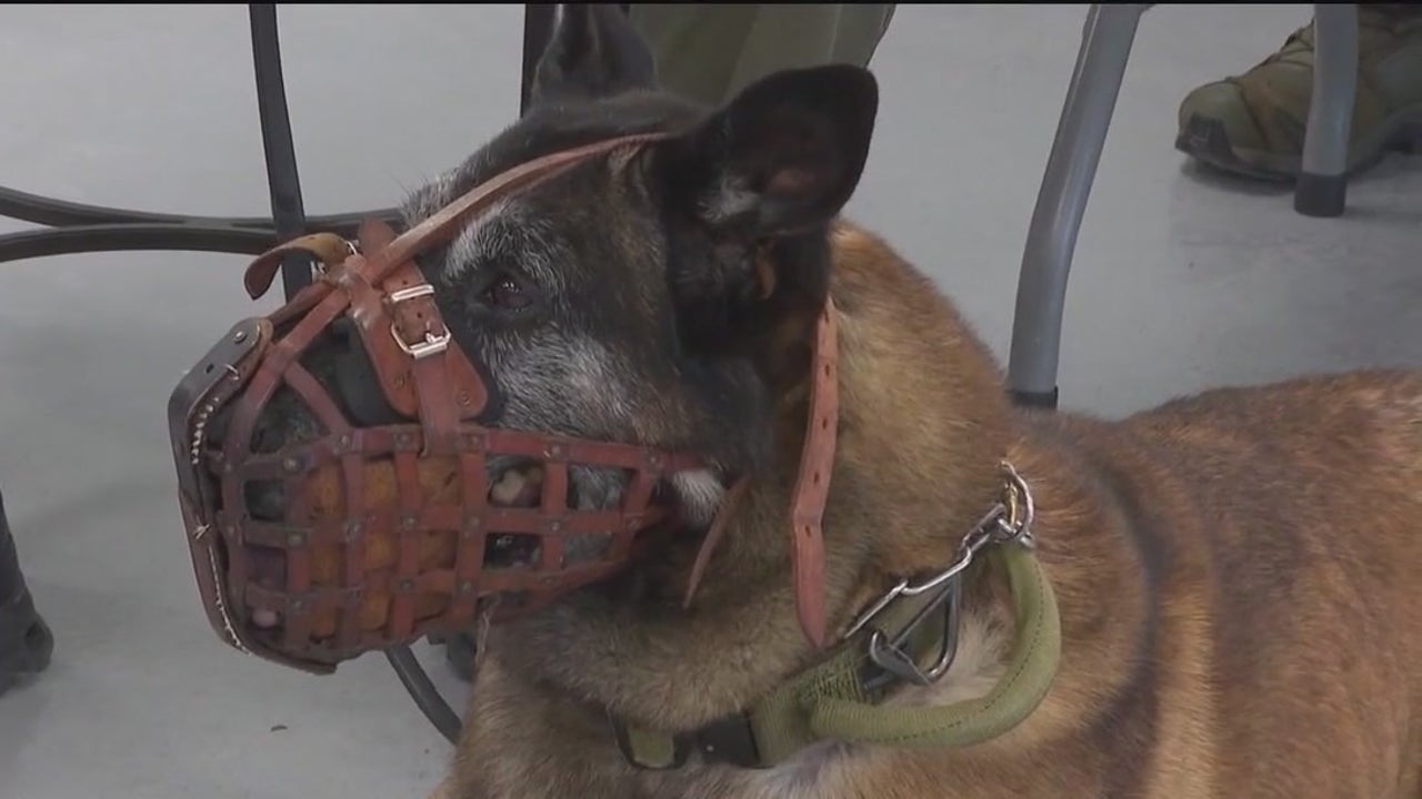 Fulton County Sheriff's Office K-9 retires