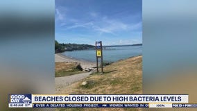 WA beaches closed due to high bacteria levels
