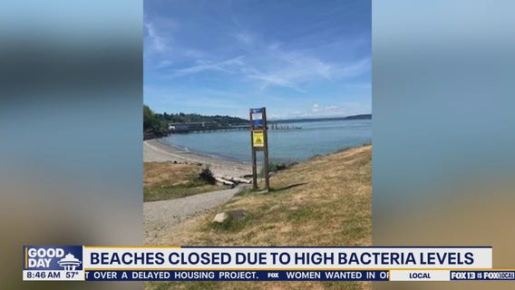 WA beaches closed due to high bacteria levels