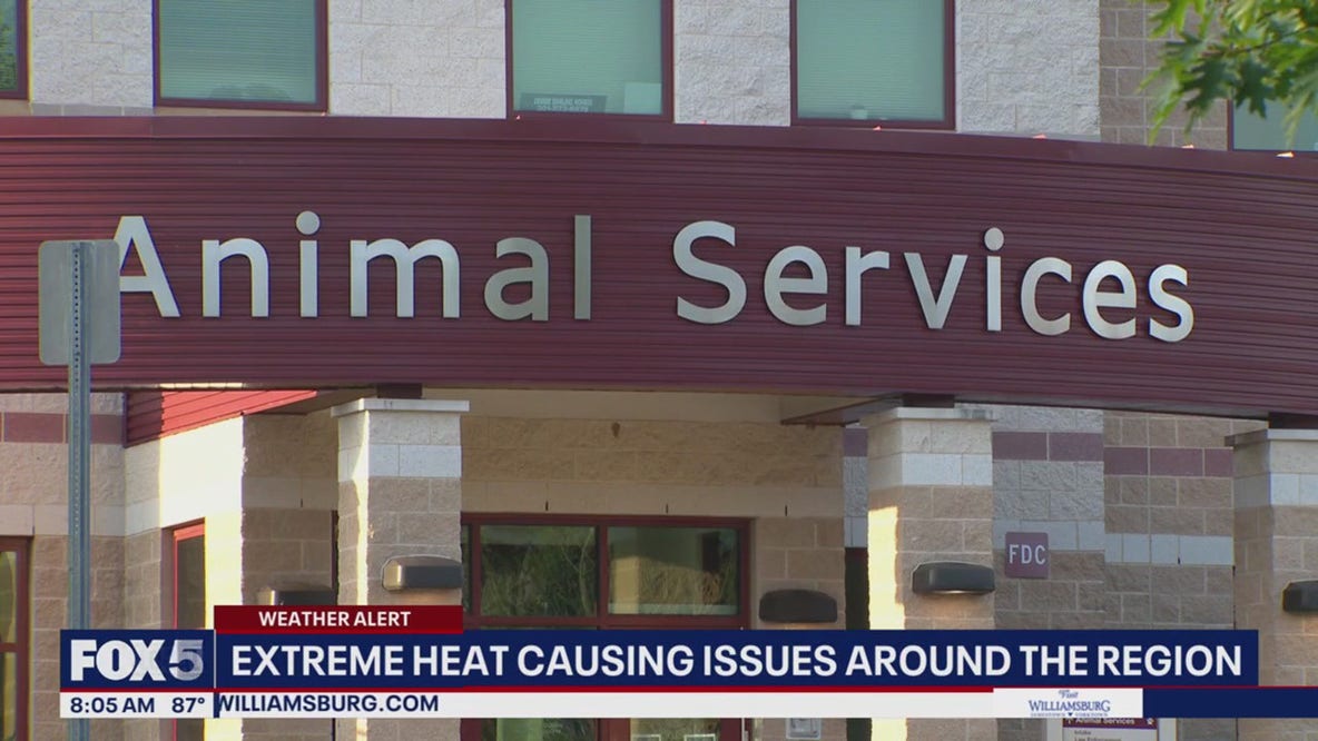 AC out at Montgomery County Animal Shelter