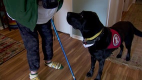 Lambeau the Dog a life-changer