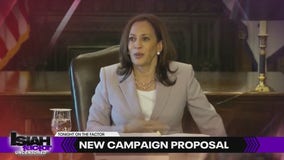 Vice President Kamala Harris proposes 'opportunity agenda for Black men' pro