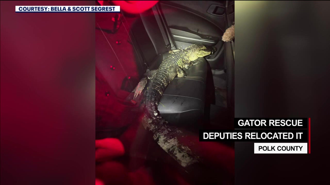 Florida Tonight: June 6