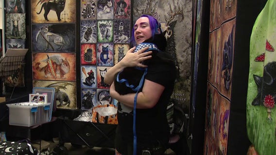 FOX 13 cat correspondent takes on Sea-Meow Cat Convention