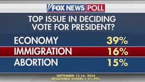 Polls show immigration among top issues for voters