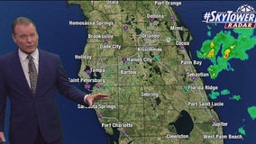 Tampa Weather | Friday forecast
