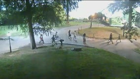 Migrant crew tied to Central Park crime wave