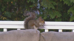 Cute visitor on FOX6 Weather Deck