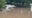 Texas flooding: Georgetown near San Gabriel River