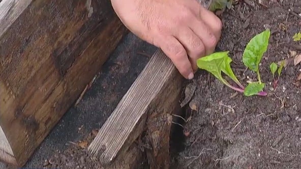 Replacing the boards on your wood-raised bed