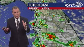 Tampa weather | Afternoon and evening storms