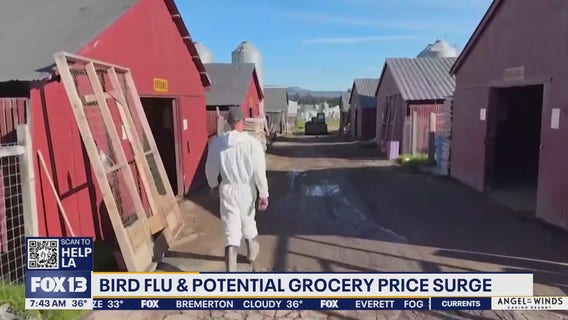Bird flu and potential grocery price surge in US