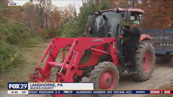 Hayrides & Apple Picking at Styer Orchard
