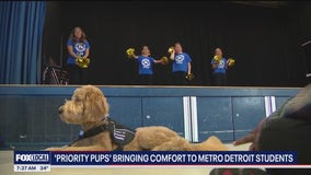Supporting student mental health: Priority Pups program places facility dogs in Metro Detroit schools