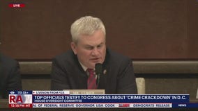 Sparks fly in House hearing as DC crime is discussed