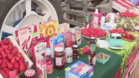 Celebrating National Strawberry Day at Tanaka Farms